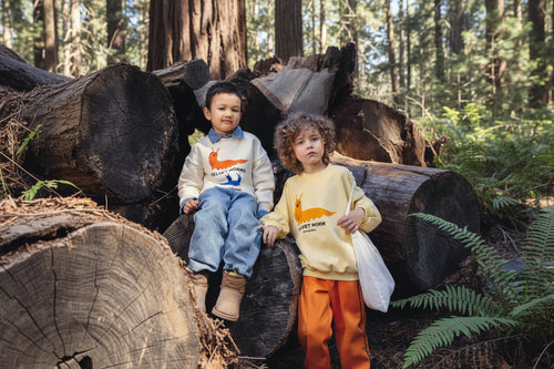 Sweat-shirt décontracté en coton biologique imprimé de vers de velours avec bordure côtelée pour enfants