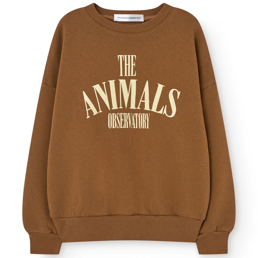 Sweat-shirt en coton marron classique à imprimé graphique avec ourlet et encolure côtelés pour enfants