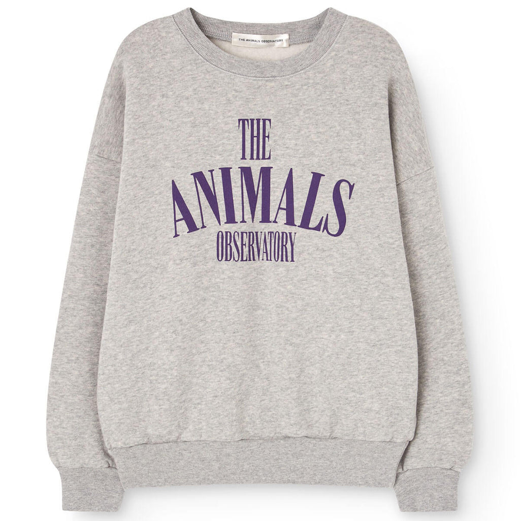 Sweat-shirt en coton gris chiné classique avec imprimé graphique, ourlet et encolure côtelés pour enfants